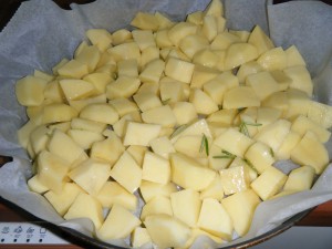 DSCF8648